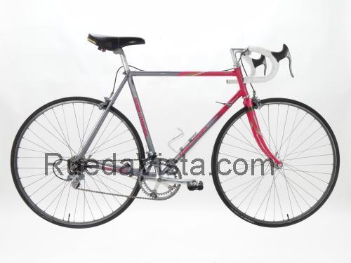 Koga Miyata Flyer ficha técnica y opiniones